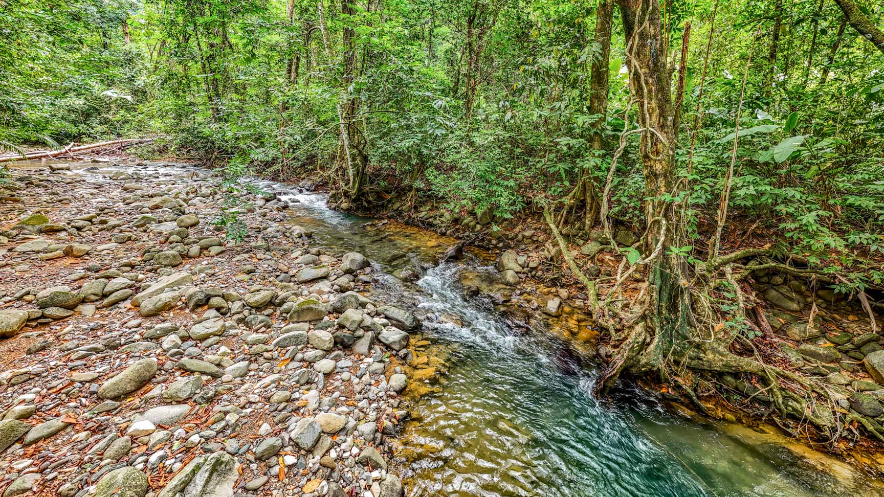 Jungle-Immersed Modern Retreat with Riverfront, Pool, and Expansion Potential in Cinco Ventanas selected