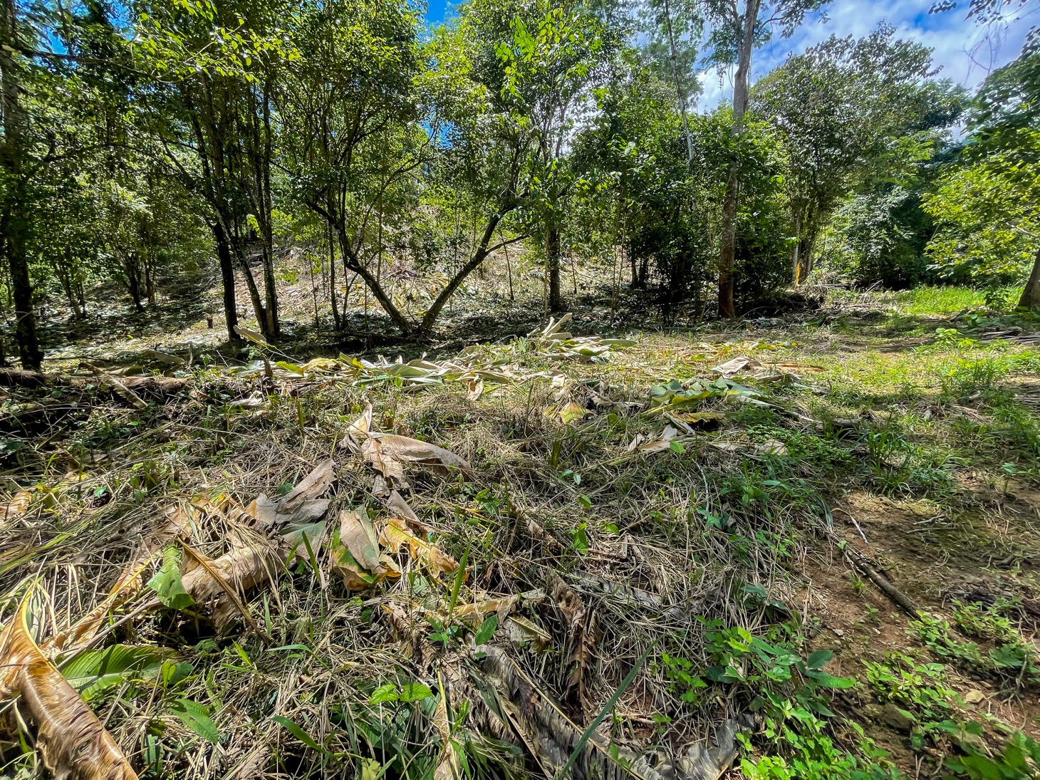 Your Private Mountain Sanctuary Awaits selected