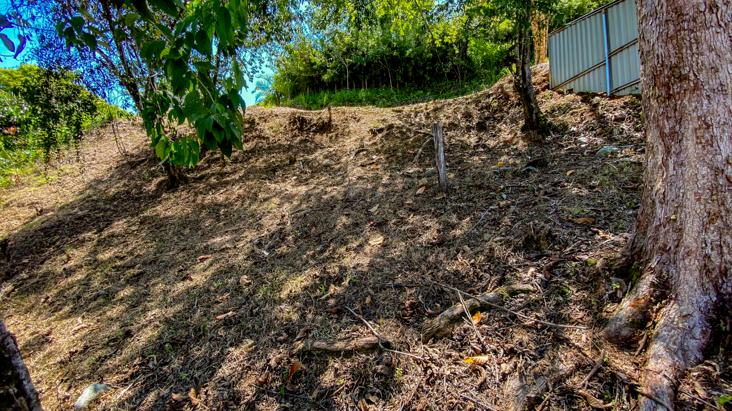 Prime Development Land in Ojochal with Cabin | Subdivision Opportunity selected