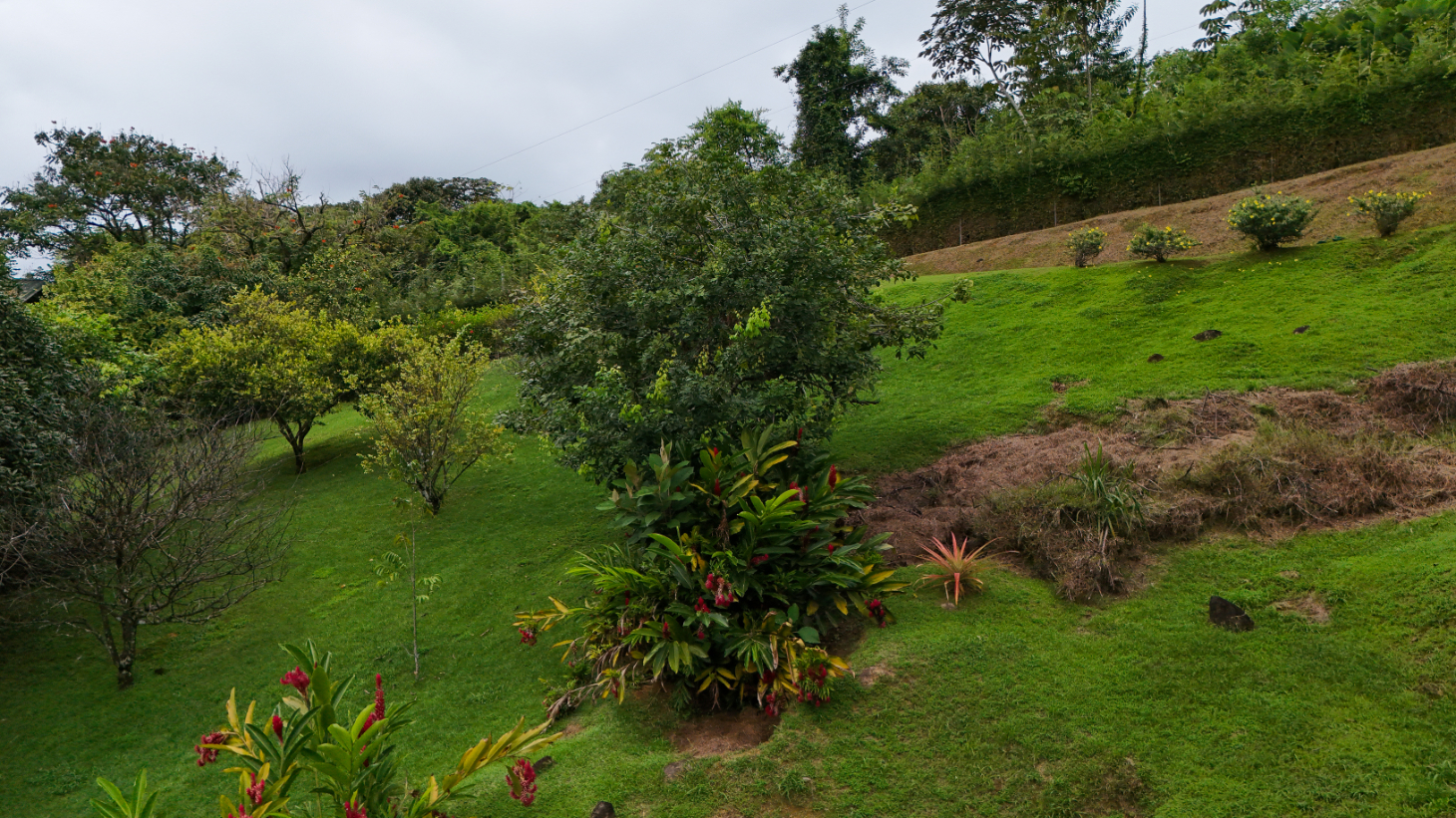 Luxury Ocean-View Estate with Infinity Pool, Main House & Guest House, Ojochal selected