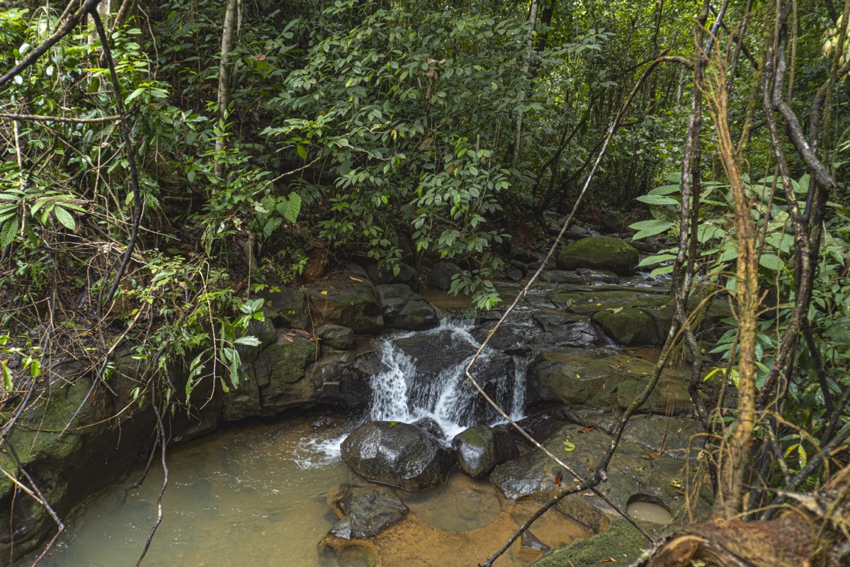 Serene Costa Rican Jungle Retreat with Waterfalls & Wildlife selected