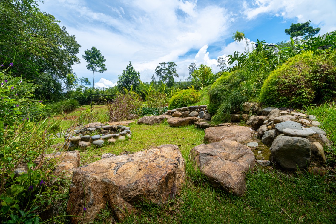 Private Tropical Homestead with Pool, Orchard, and Modern Upgrades in Uvita selected