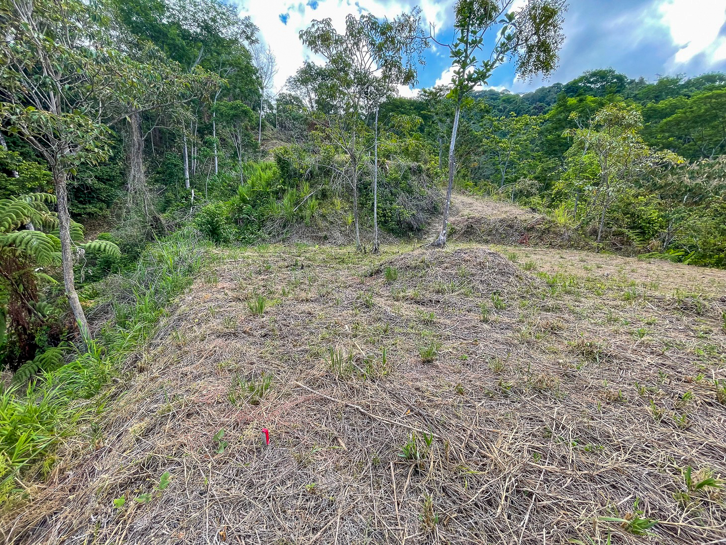 Excellent Dream Home Or Mini-Development Opportunity: 2.2-Acre Ocean View Property in Ojochal, Costa Rica selected