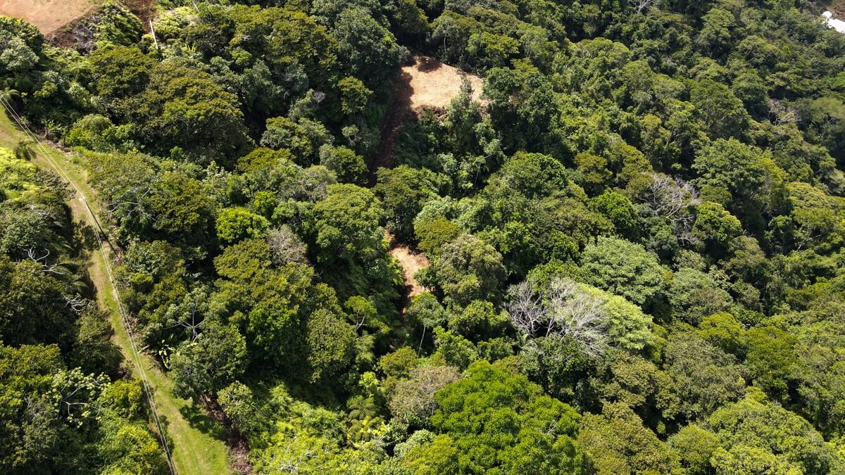 Whale's Tail and Ocean View lot for Sale in Costa Verde, Escaleras, Costa Rica selected