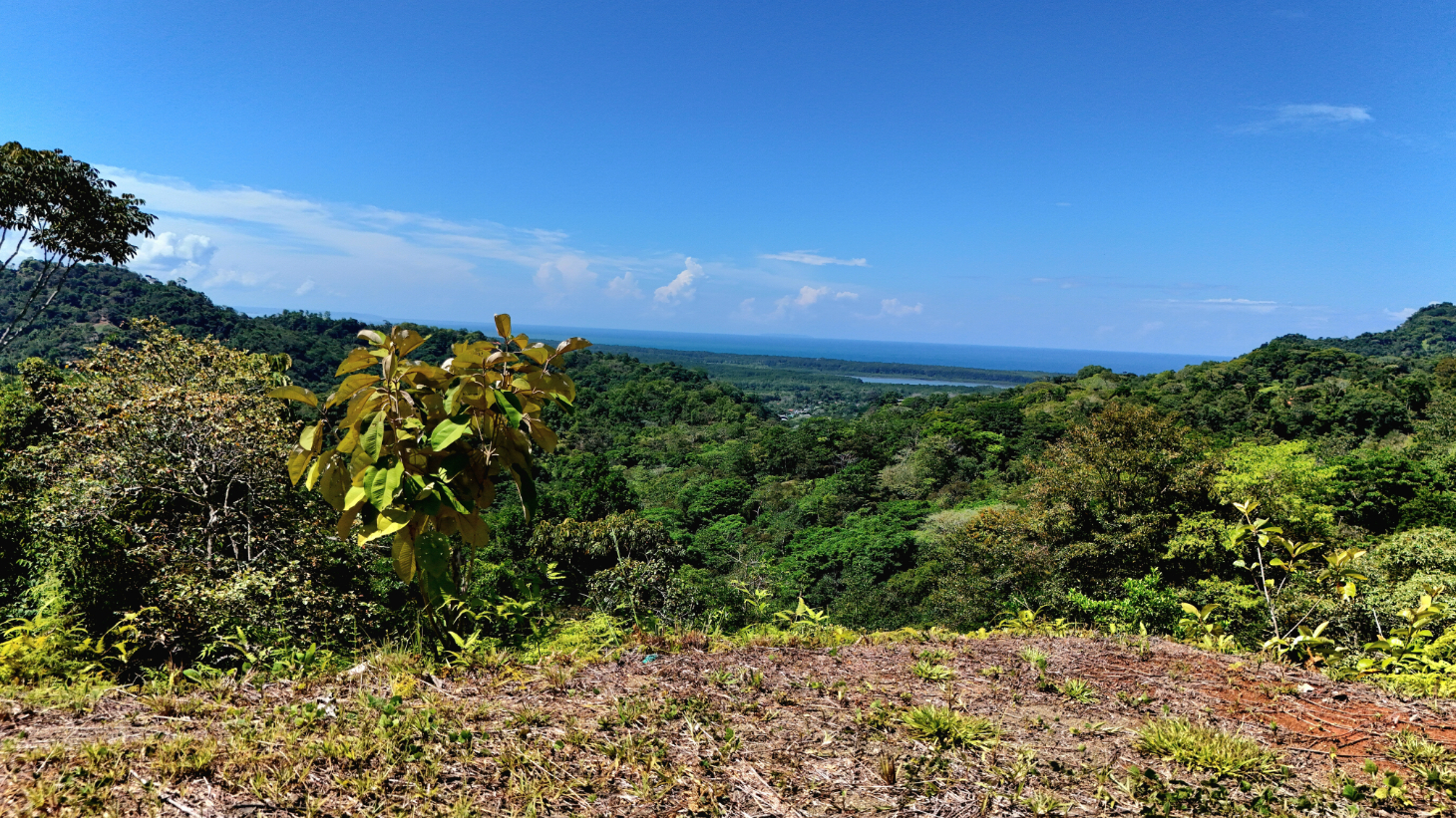 Ocean View Property with River & Waterfall Access – Tres Ríos de Osa selected