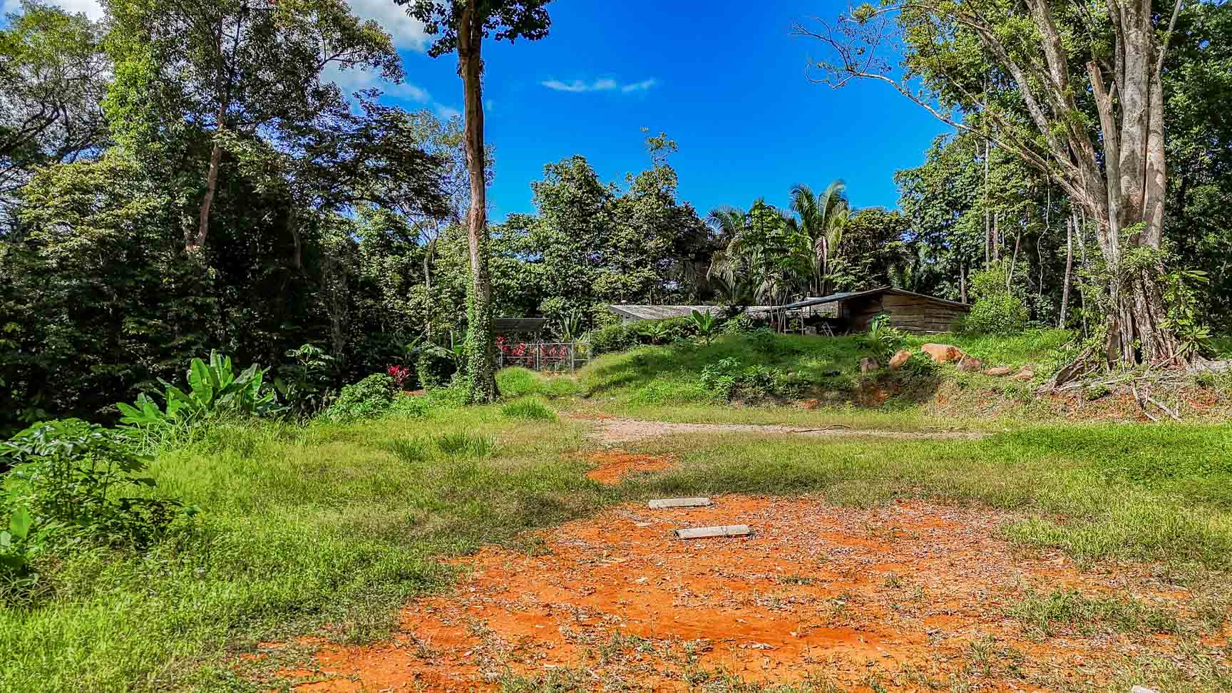 Wonderful Jungle Lot with a Crystal Mountain River Border in Ojochal selected