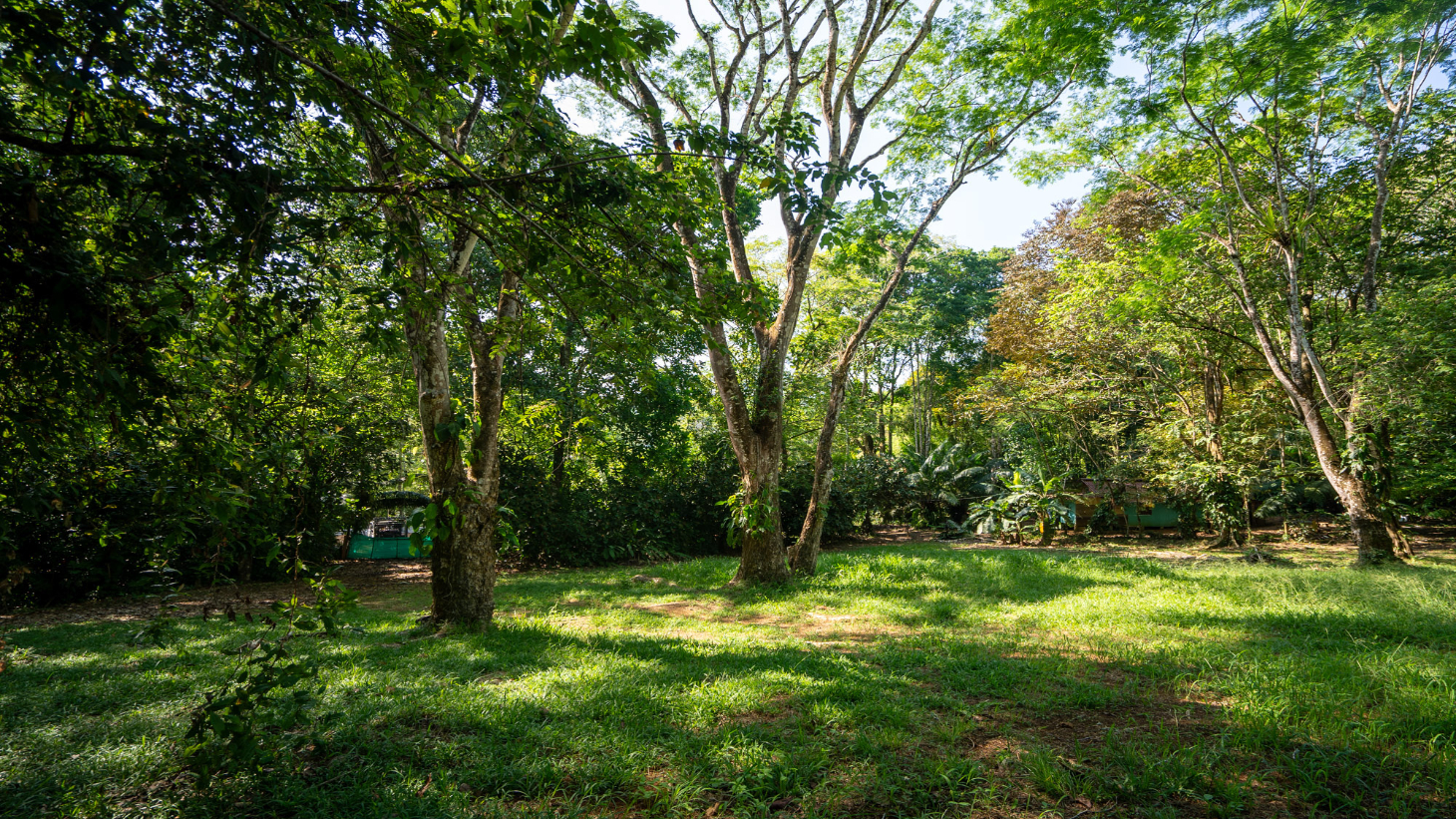 Rare 86-Acre Ocean View Estate Bordering Hacienda Barú – A Unique Opportunity for Conservation and Development selected