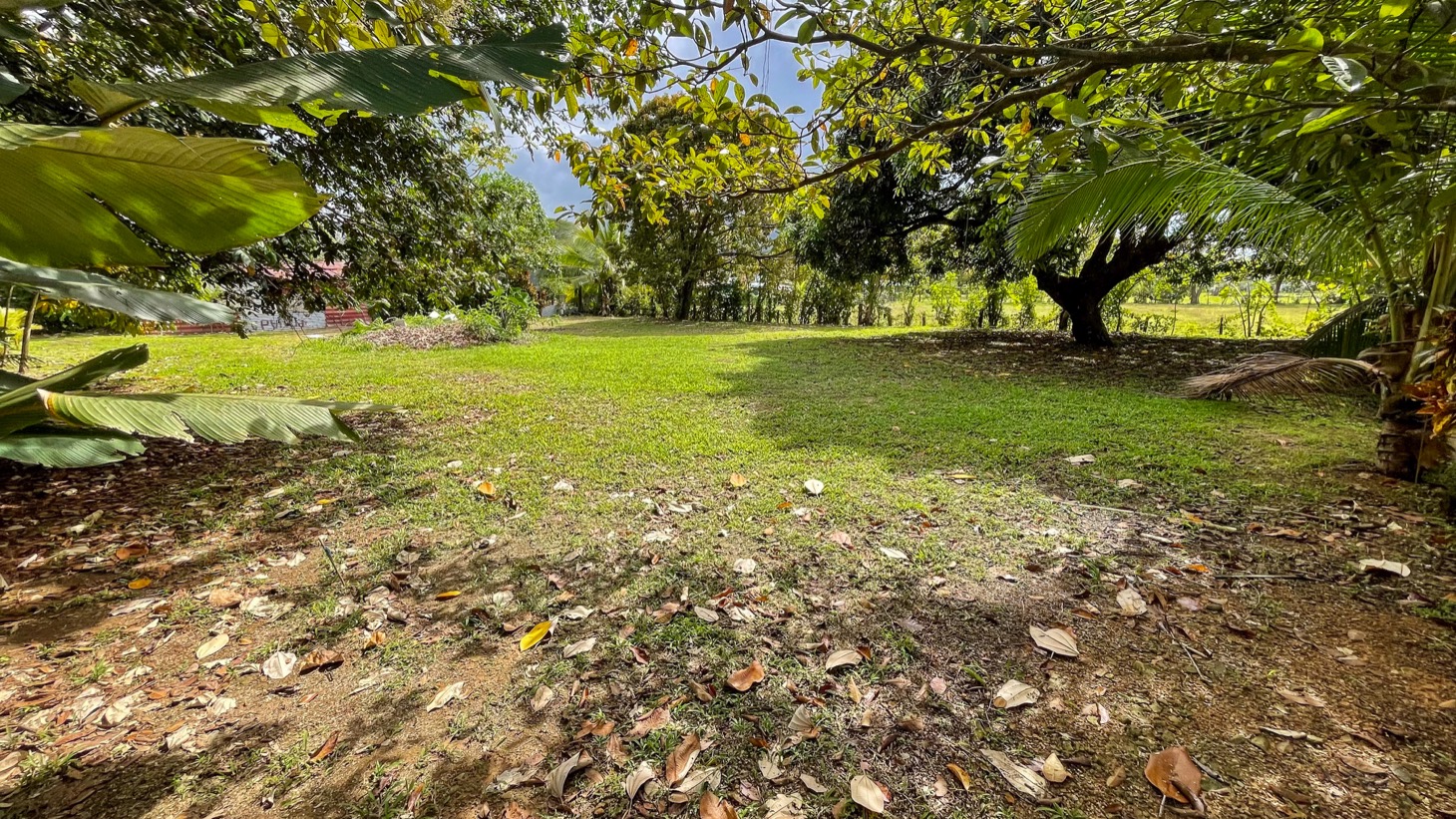 Prime Uvita Lot Near Marino Ballena – 0.30 Acres, Dual Access, Build Multiple Units selected