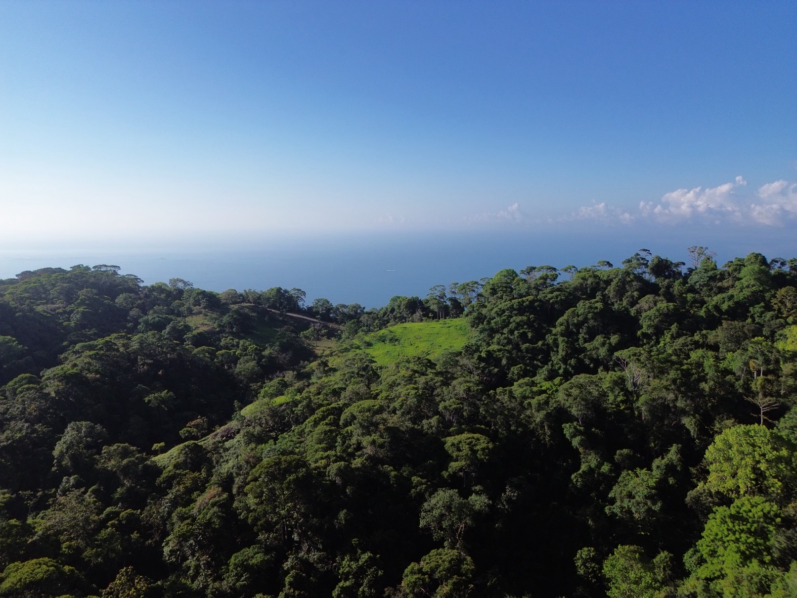 Expansive Escaleras Estate with Ocean Views, Jungle, and Development Potential selected