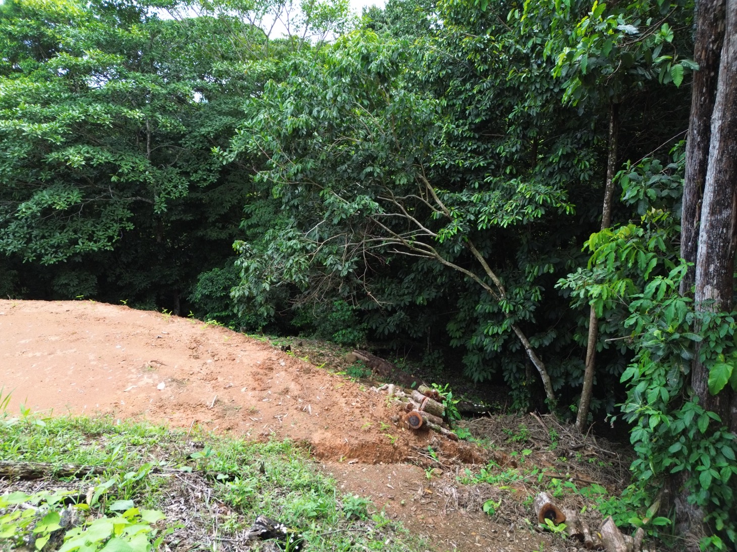 Ocean & Mountain View Property in Phase 11 of Ojochal selected