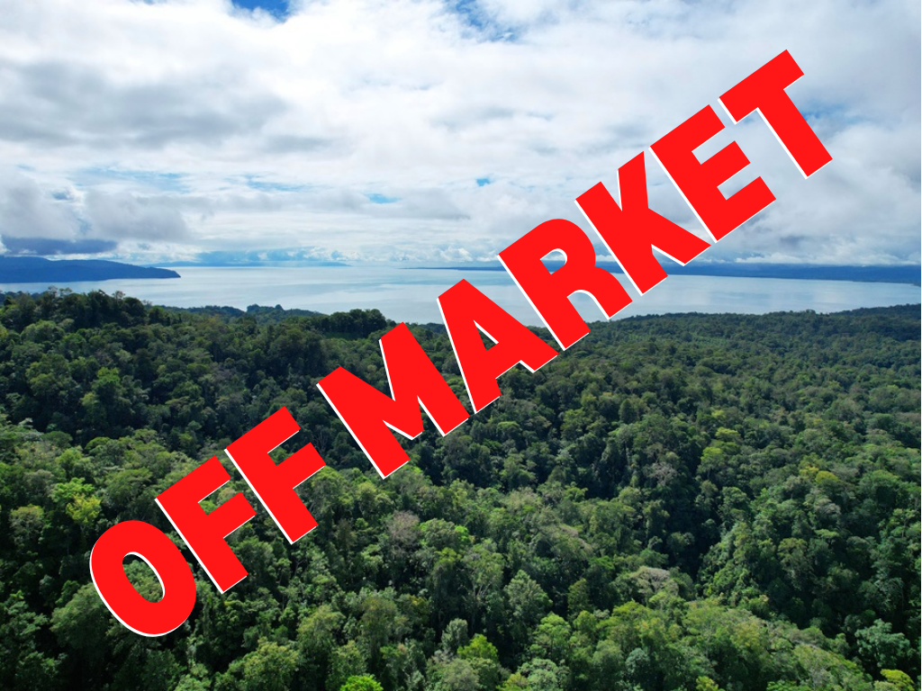 GIANT Farm, with view to the Golfo Dulce, and Lots of nature!, los Mogos selected