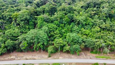 Prime Lots for Sale in Tawal, Osa – Excellent Location Near Cortes and Ojochal image 1