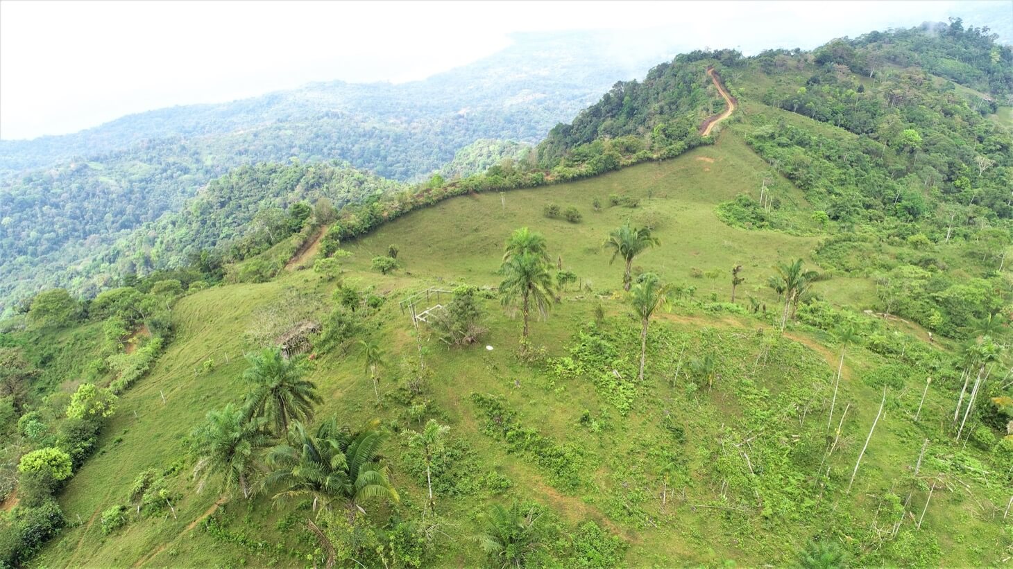 3 Spectacular Ocean View Farms in Uvita selected