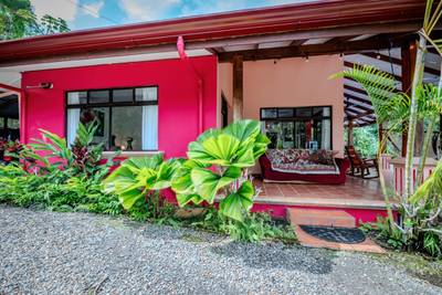 Dual-Income Opportunity Surrounded by Jungle Paradise in Escaleras image 3