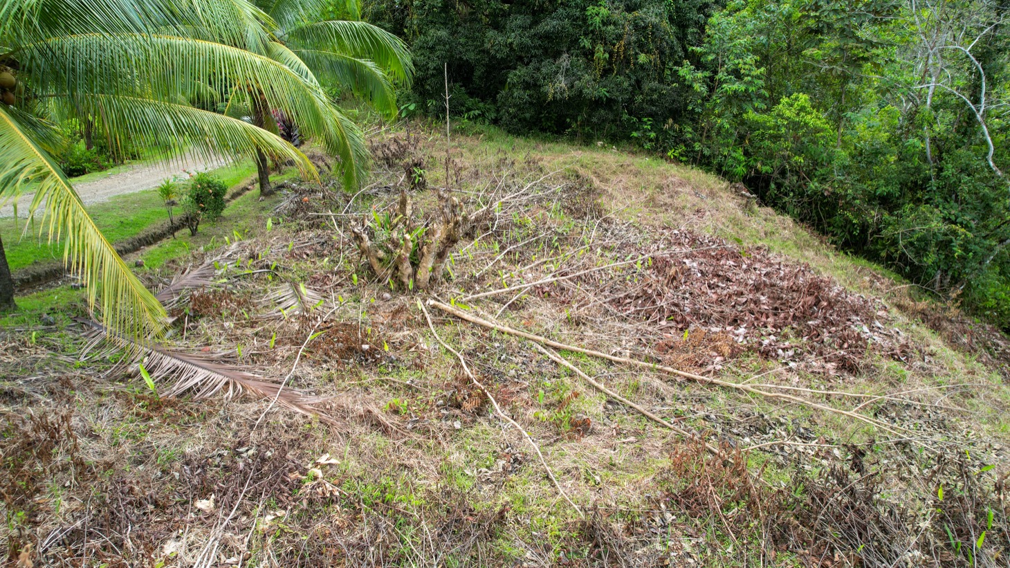 Ocean - Mountain View Lot for Sale in Ojochal, Costa Rica  selected