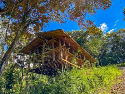 Bamboo Property for Sale Near Playa Ballena | Prime Costa Ballena Development Opportunity image 3