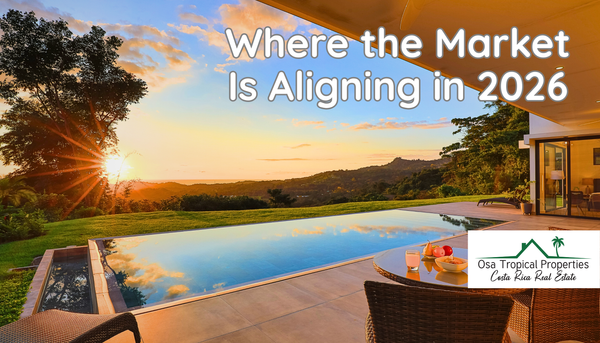 Costa Ballena Real Estate: What 2025 Revealed — and What 2026 Is Setting Up