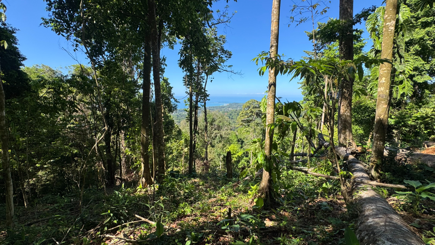 Front-Row Ocean View Lot in the Exclusive Mountains of La Unión selected
