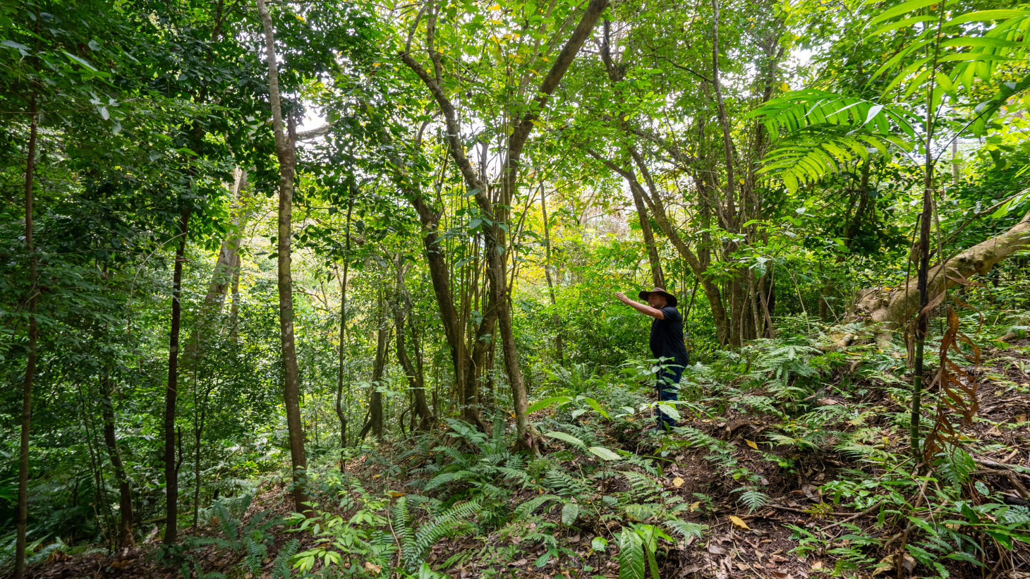 Rare 86-Acre Ocean View Estate Bordering Hacienda Barú – A Unique Opportunity for Conservation and Development selected