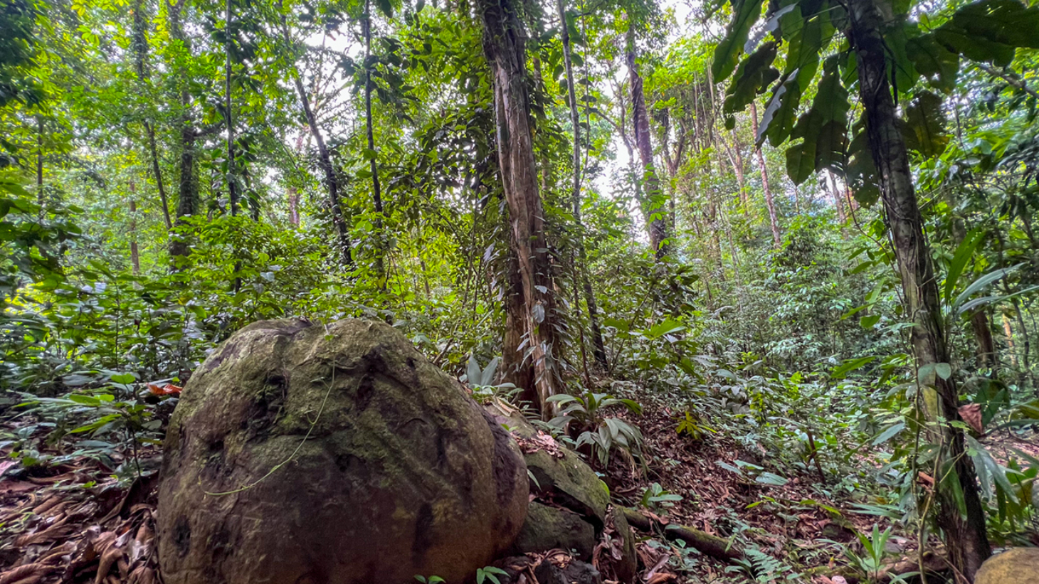Riverfront Property with Primary Forest Close to Uvita Beaches selected