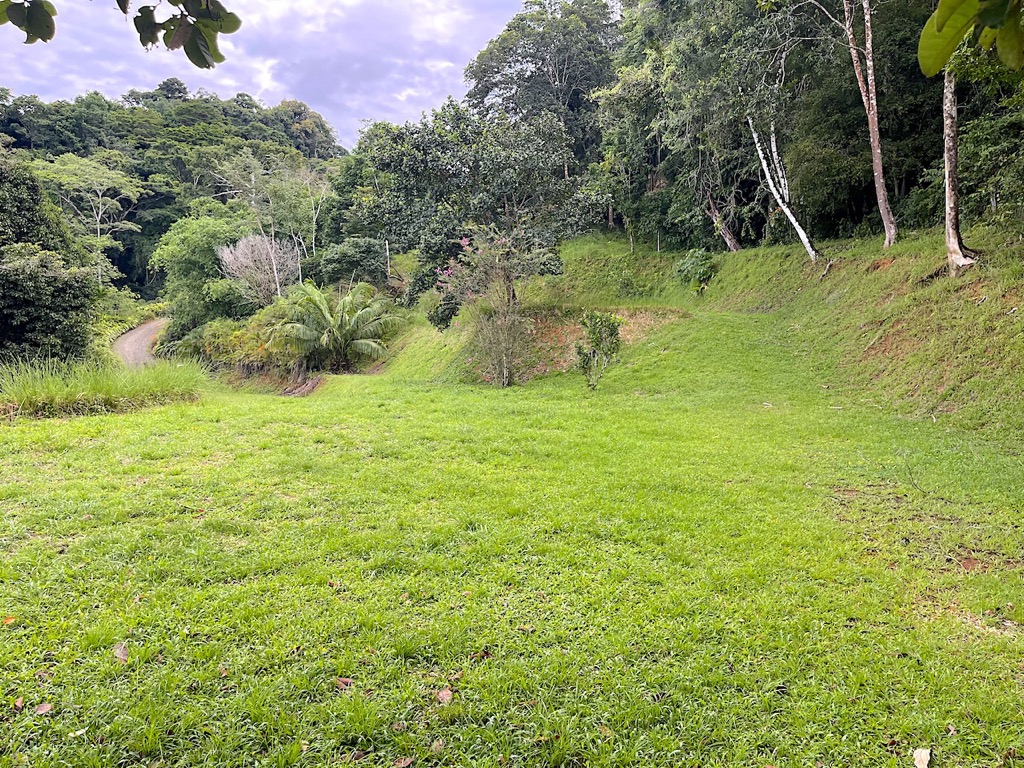 Spectacular Mountain & Ocean View Property in Cacao Ridge, Platanillo selected