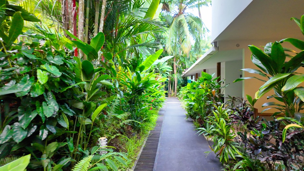 Turnkey Boutique Hotel in Prime Manuel Antonio Beach Location selected