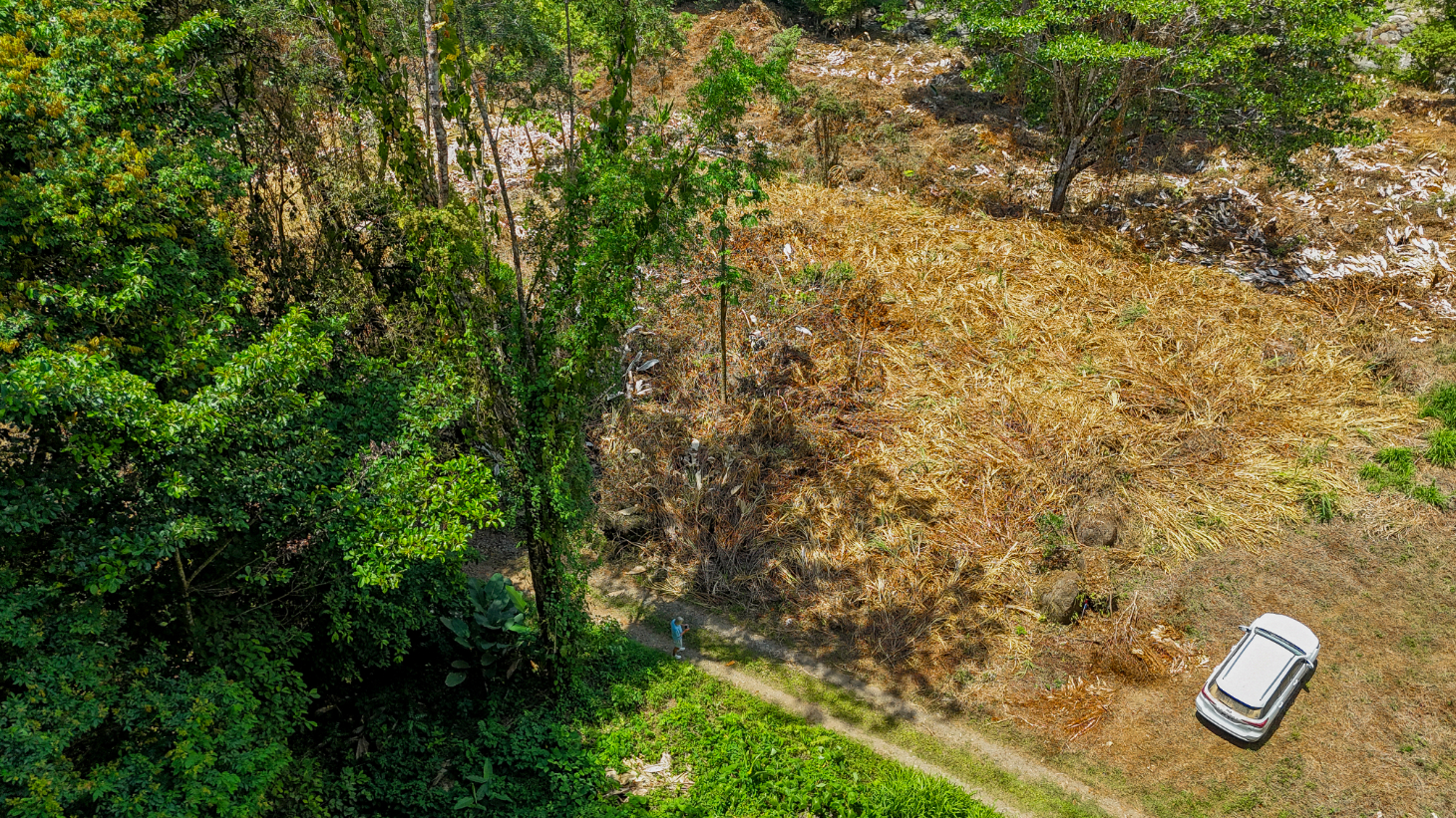 2.46 Acre Jungle Land for Sale in Ojochal with River Border selected