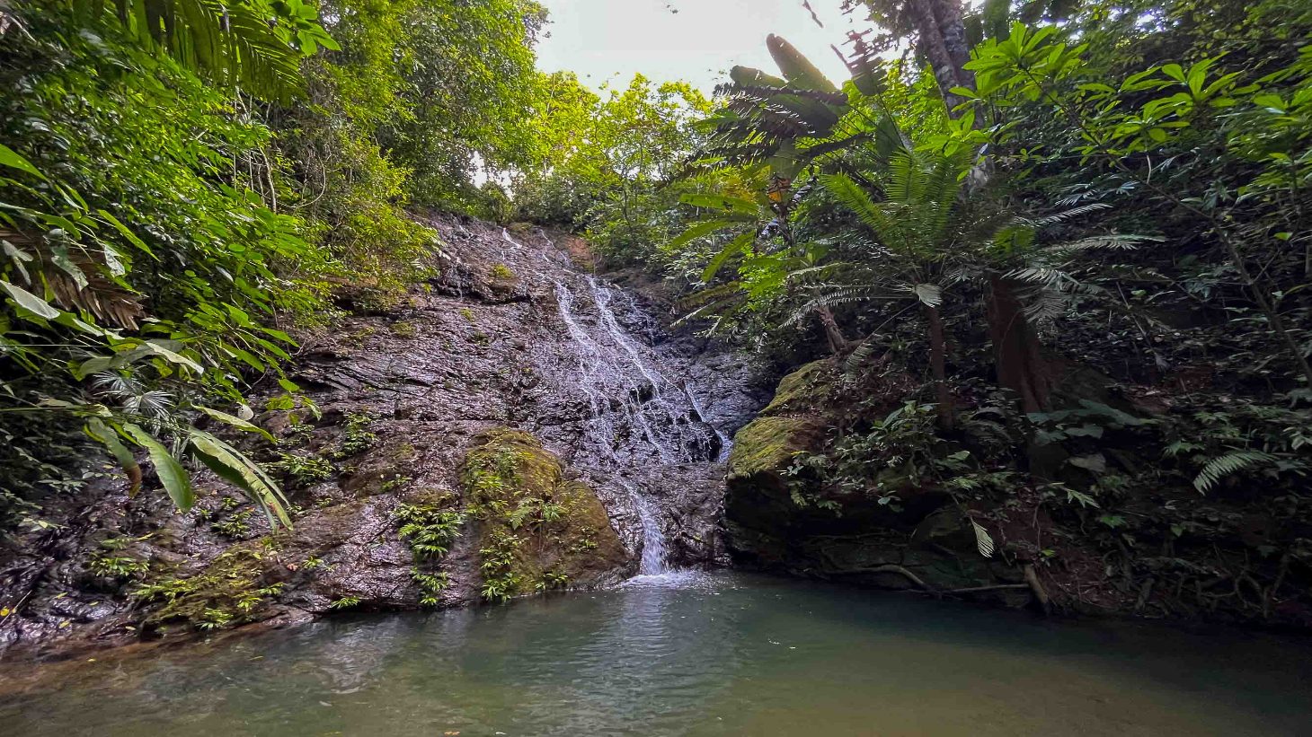 Waterfall Home in Private Community Affordable Jungle Home selected