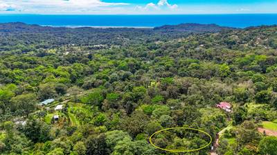 Jungle Lot for Sale in Ojochal With River & Waterfall image 2