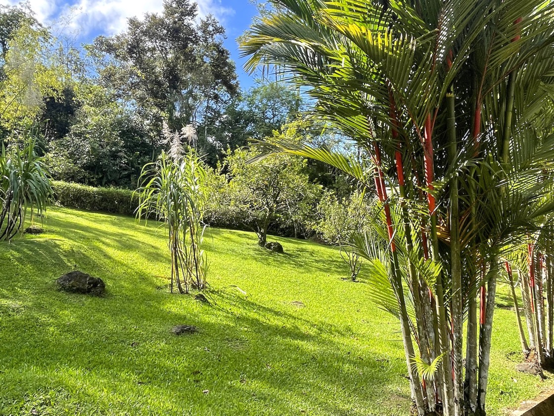 Casa Tranquila: Refined Ocean-View Estate in Lagunas selected