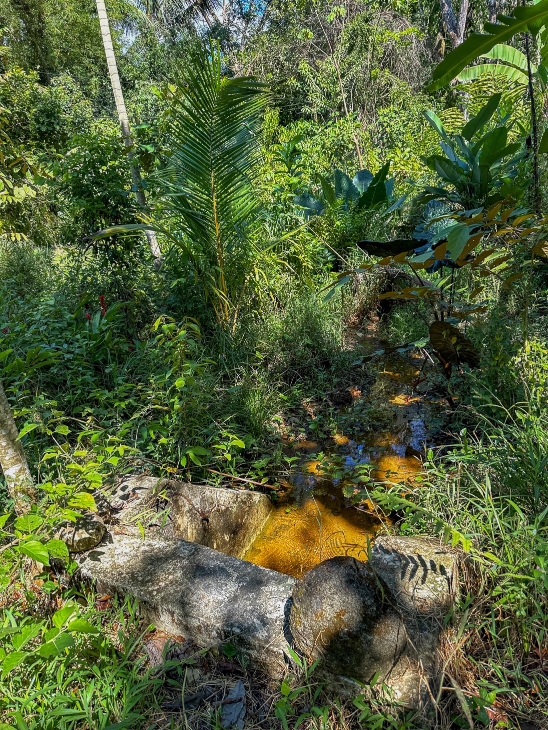 image-selected