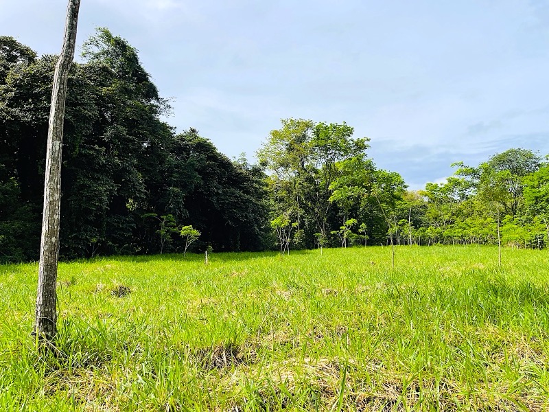 Prime 10+ Acre Development Opportunity in Uvita selected