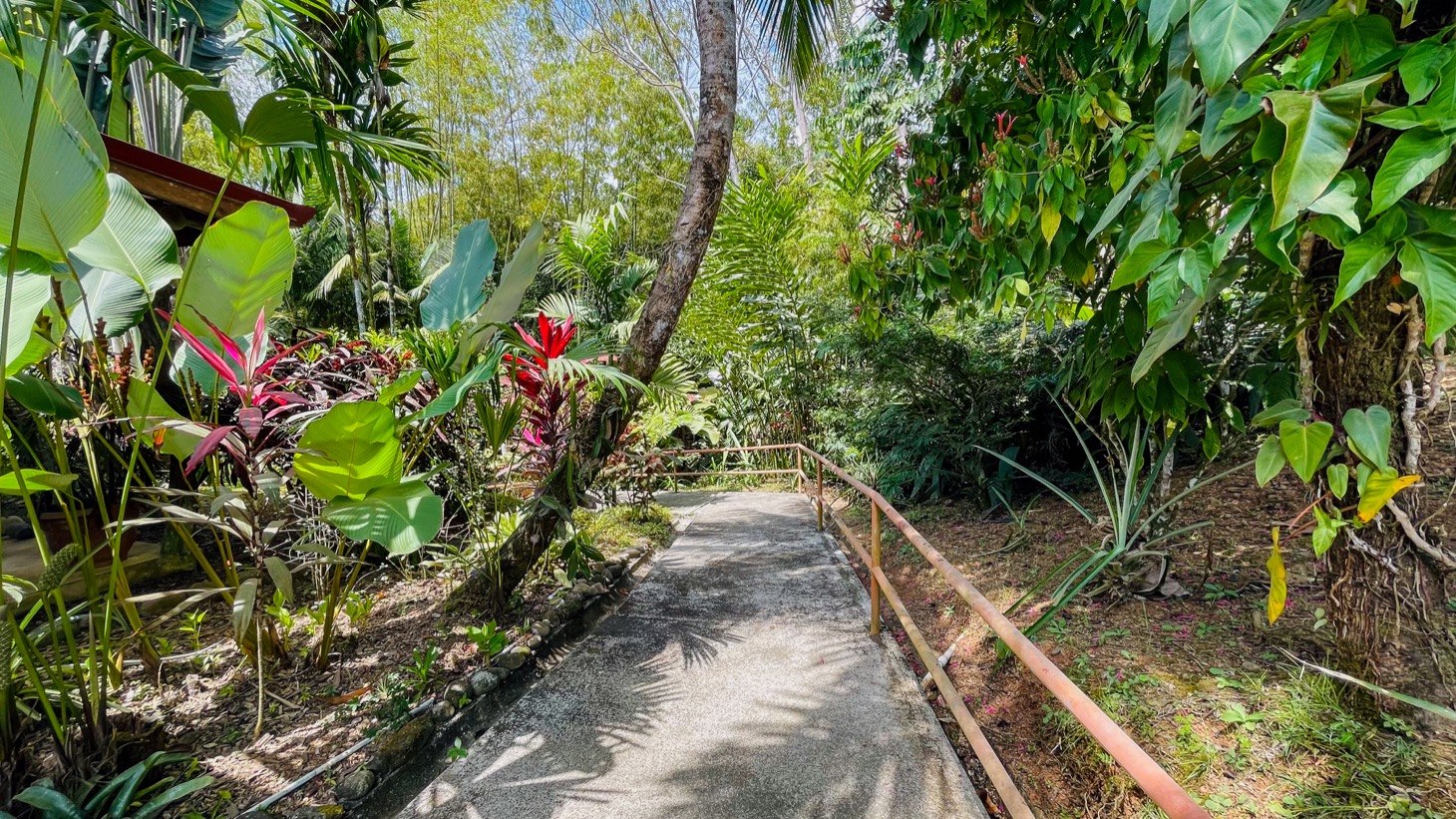 Valley of Dreams - A Beautiful Multi-Use Property Near Cacao Ridge, 10.85 Acres at a Phenomenal Price! selected