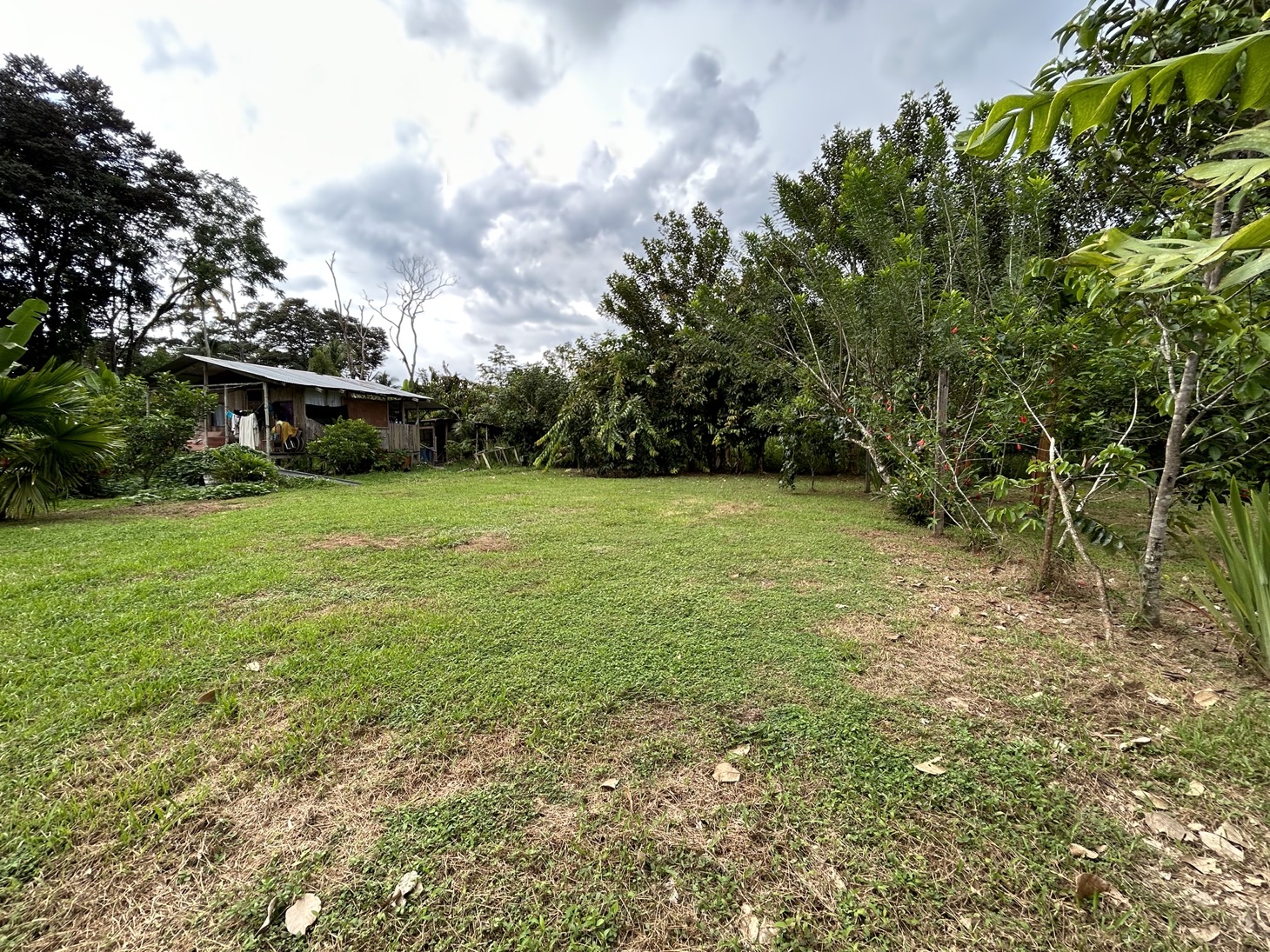 Nice Lot in San Buenas, Costa Rica selected