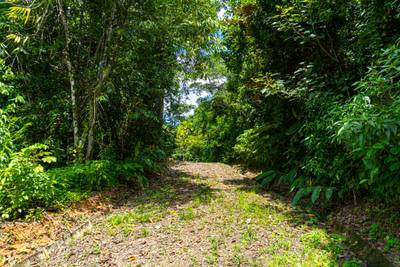 Secluded 2.9 Acre Jungle Lot with Mountain Views in San Buenas image 5