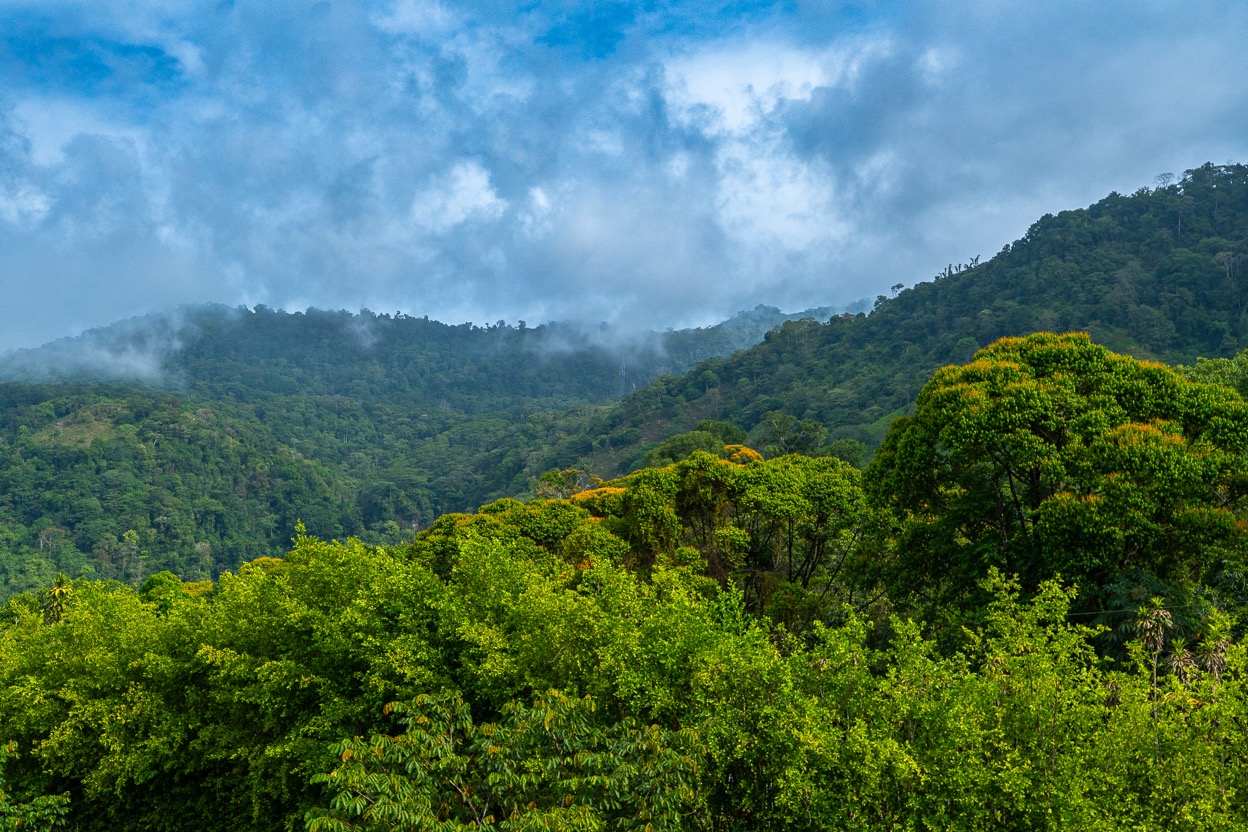 Ocean View Development Property with Waterfall Vista — 14.83 Acres in San Luis de Morete, Near Uvita selected