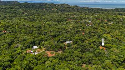 1.6 Acre Jungle and Creek Lot in Gated Community in Ojochal image 5