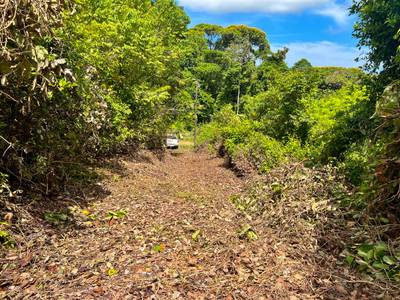 Build-Ready Mountain View Estate Lot in Tres Rios  image 3