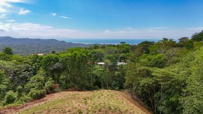 3-Acre Development Opportunity in Phase 5 Gated Community, Ojochal image 5