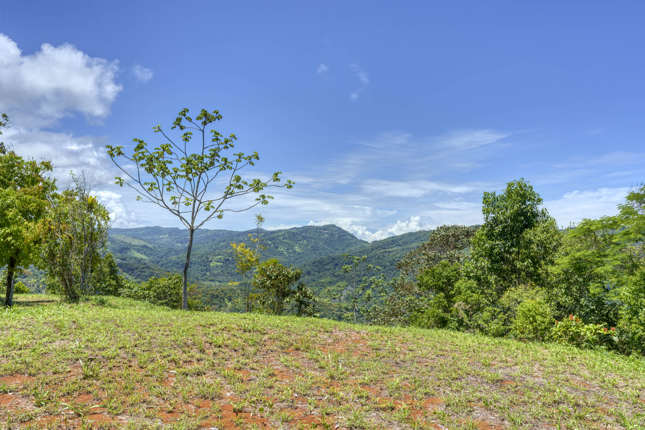 26 Acres With Ocean, Mountain & Waterfall View In Platanillo selected