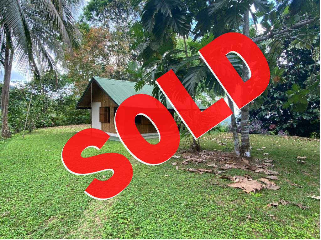 2 Acre Ocean View Property With A Wood Cabin In Ojochal