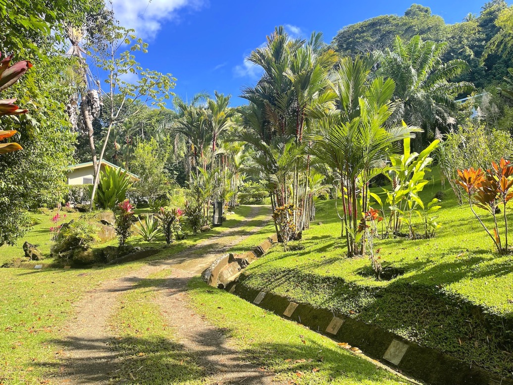 Casa Tranquila: Refined Ocean-View Estate in Lagunas selected