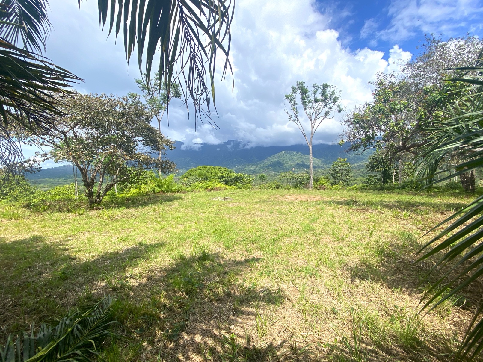 Two Ocean View Properties in Ojochal – 5.33 Acres of Pure Paradise selected