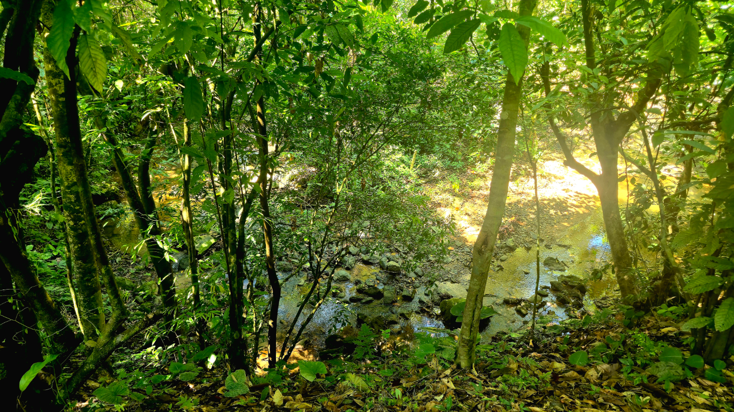 Ocean View Property with River & Waterfall Access – Tres Ríos de Osa selected