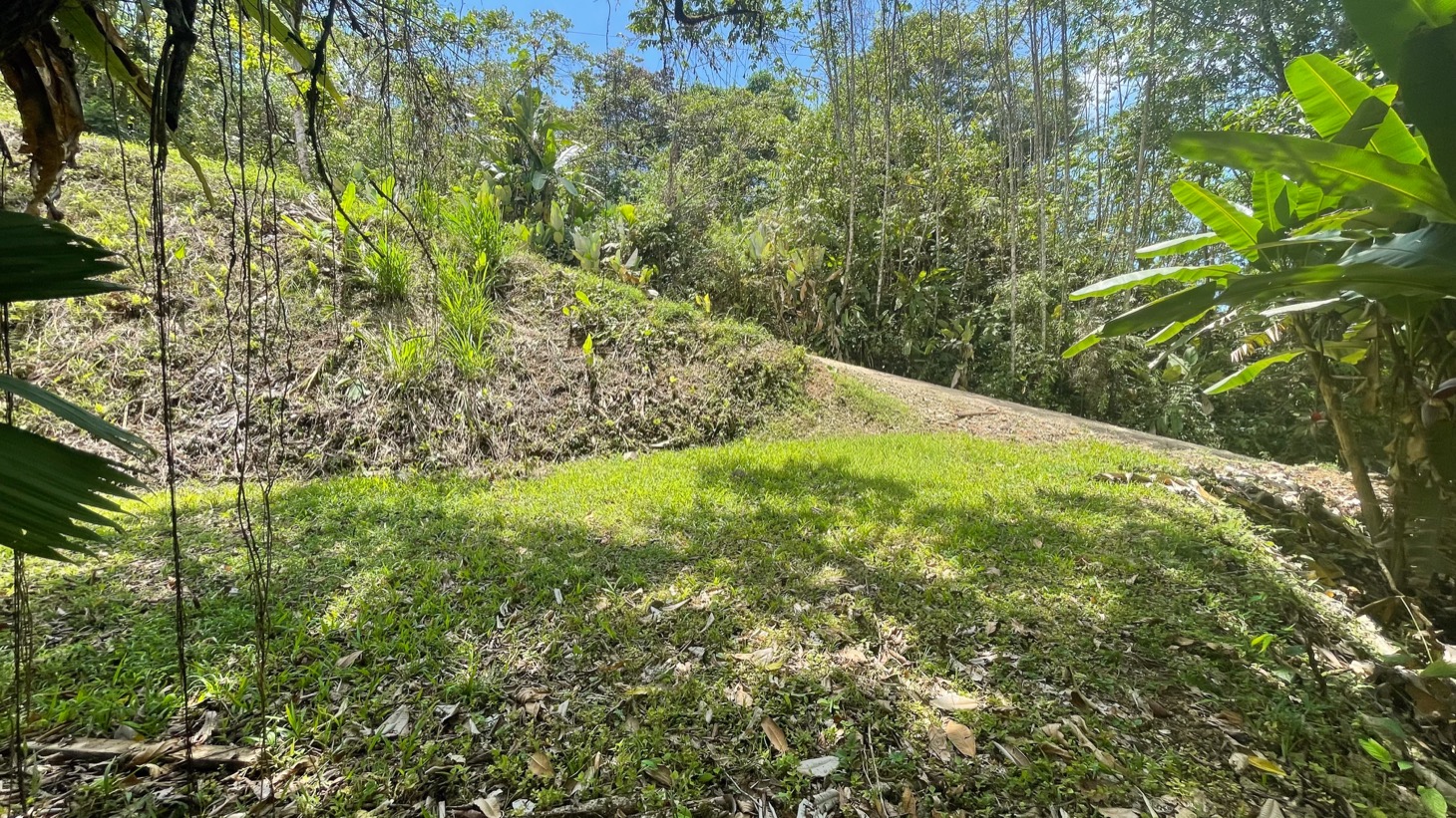 Land for Sale Near Ojochal, Costa Rica – Lot with Water & Electricity Near El Pavón Waterfall selected
