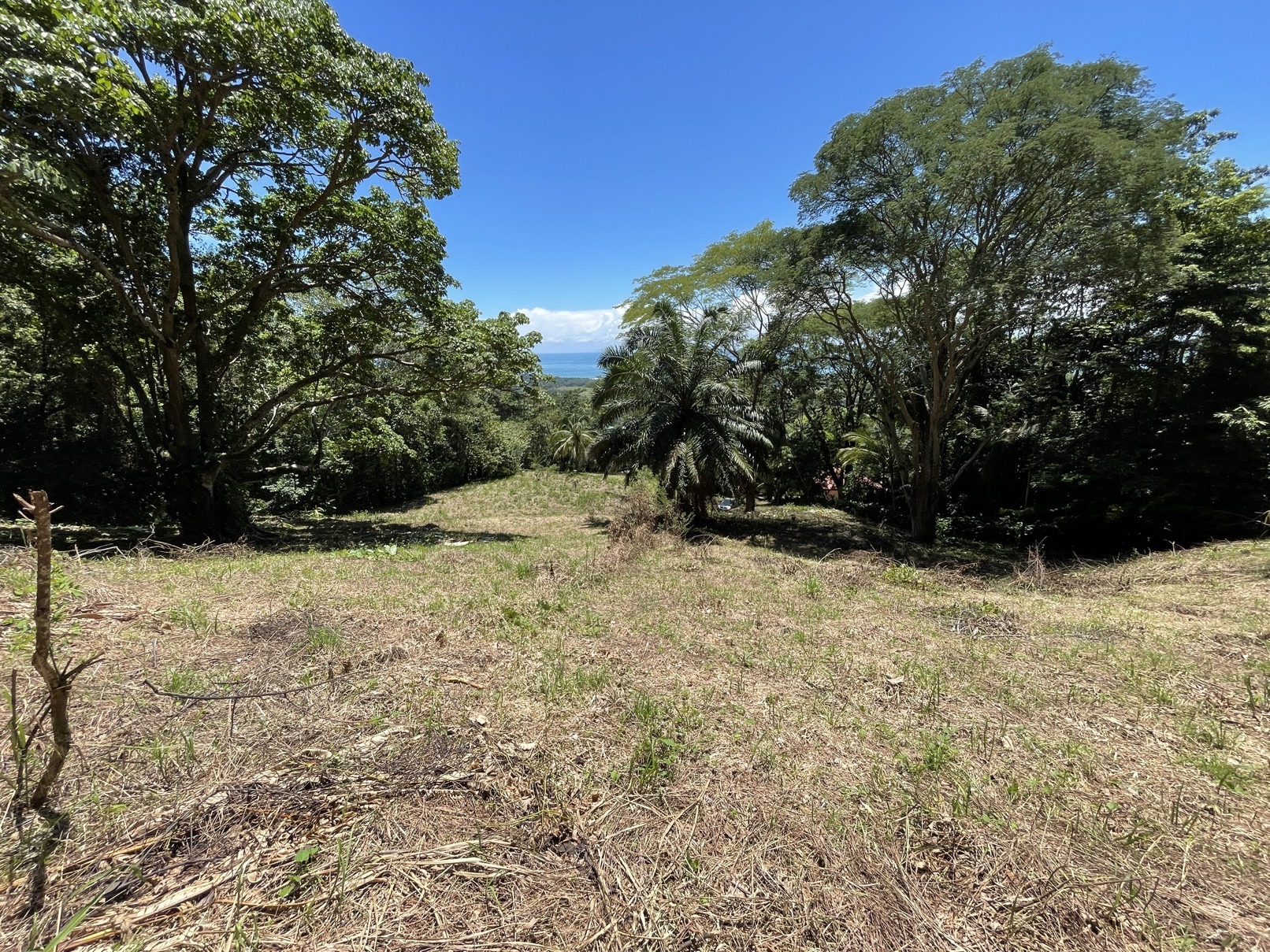 5.4 Acres With Ocean View & Multiple Building Sites selected