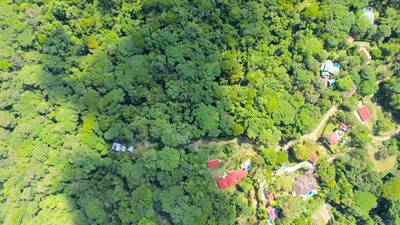 Private Jungle Compound with Modular Home, Guest Cabin & 3 Building Sites in Ojochal, Costa Rica image 3