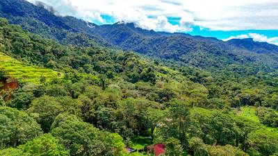 Private Jungle-Border Lot in Ojochal – Ready to Build, Gated Community, River Access image 3