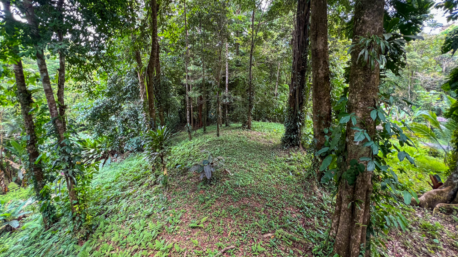 Riverfront Property with Primary Forest Close to Uvita Beaches selected