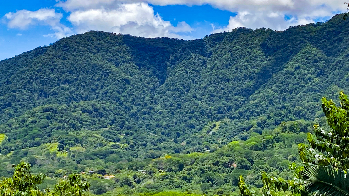 5.75 Acre Land for Sale in Ojochal | Ocean View Development Property selected